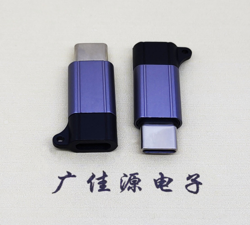 沙溪镇Type-C母转Type-C公 USB3.1 PD100W快冲接口